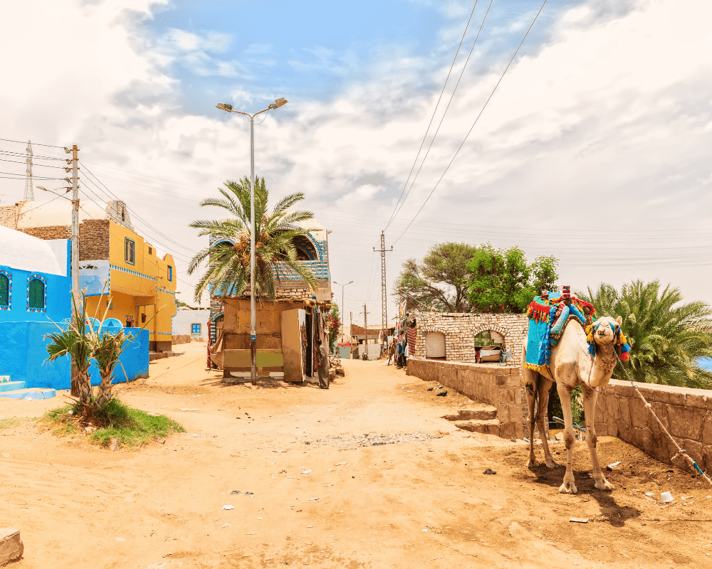 Packages 8 Days Egypt Cairo & Nile cruise photo 8
